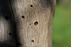 IMG_0097