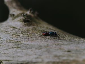 IMG_1304